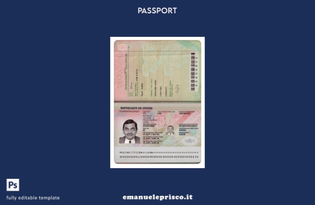 modello di passaporto della Guinea in stile verificato (presente).